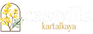 Alternate Text